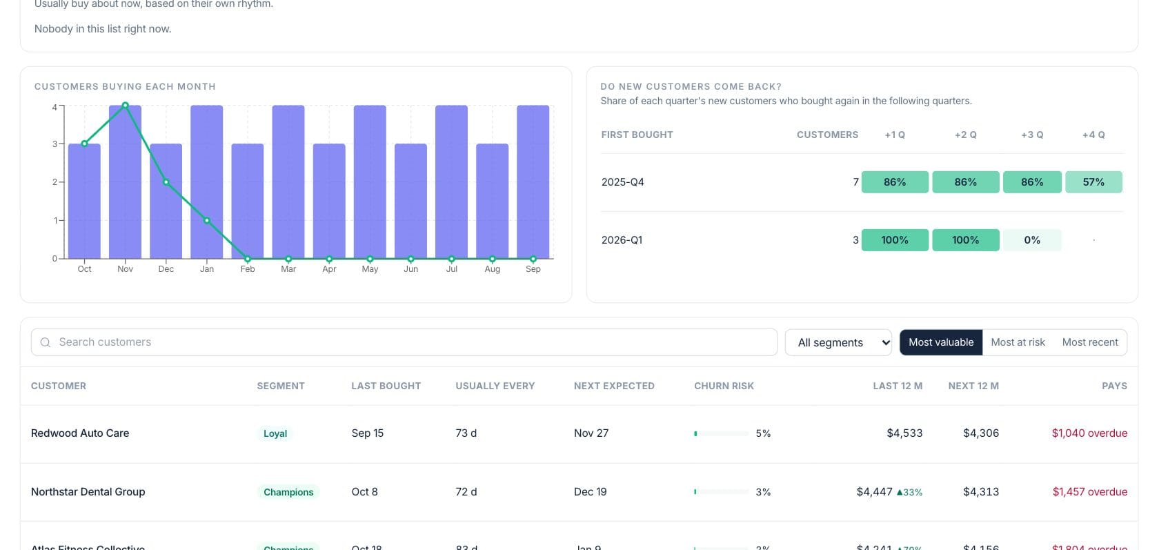 Fratelli Customer Insights — Customer segment overview